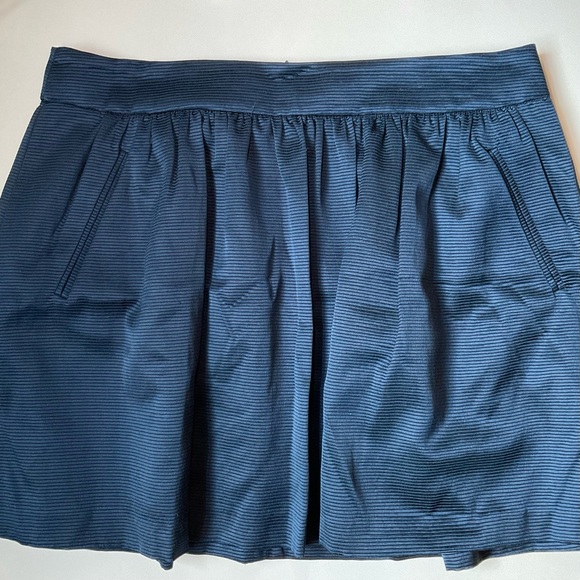 Banana Republic Dresses & Skirts - Banana Republic Navy Blue Pleated A-Line Mini Skirt